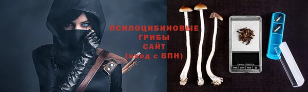твердый Алексеевка