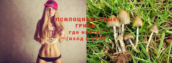 первитин Алзамай