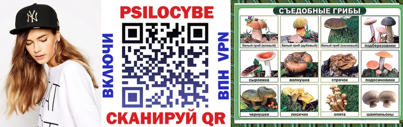 мега tor  Новомичуринск  Псилоцибиновые грибы Psilocybe  продажа наркотиков 