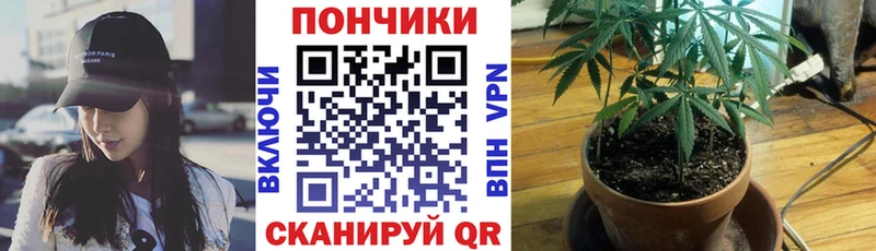 Марихуана планчик  Новомичуринск 